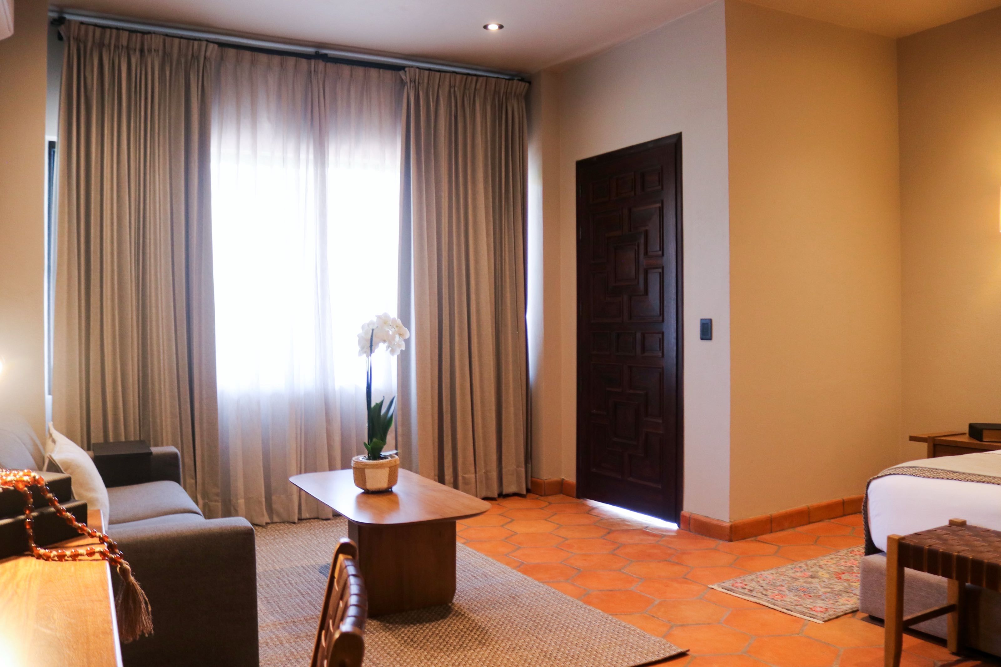 Habitación de hotel con cama, sofá, una mesita de café y una planta en maceta.