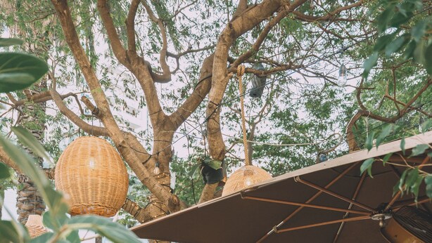 An outdoor seating area with wicker furniture, umbrellas, and a tree providing shade. - Iberostar Waves Berkeley Shore (Miami Beach)