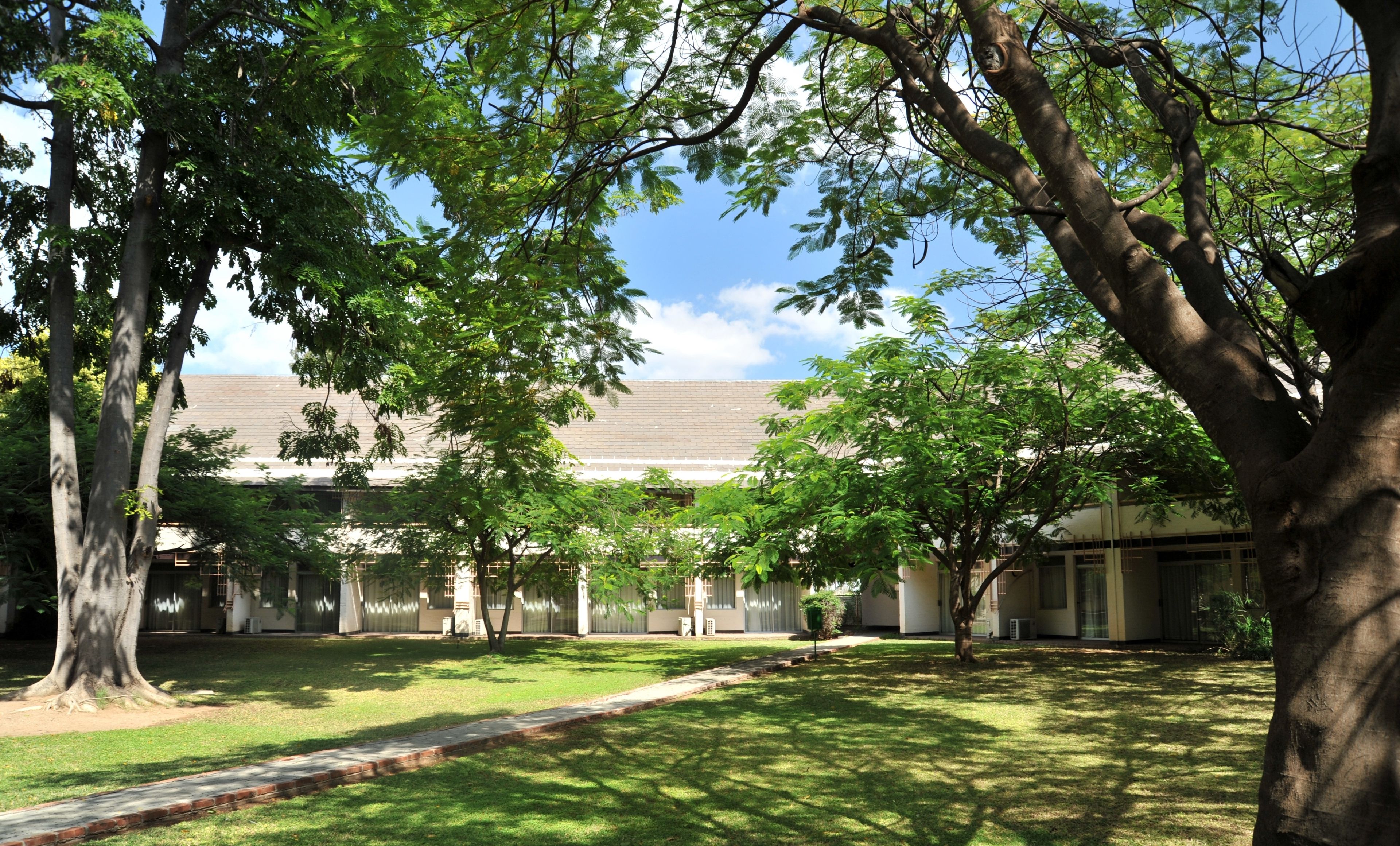 A courtyard with trees, a pathway, and a building with a flat roof.