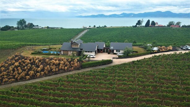 Un vignoble avec des rangées de vignes, une maison avec une piscine et, en arrière-plan, une vue sur la mer et les montagnes.