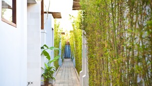 Un sendero estrecho bordeado por muros blancos y plantas de bambú, que conduce a un portón azul.