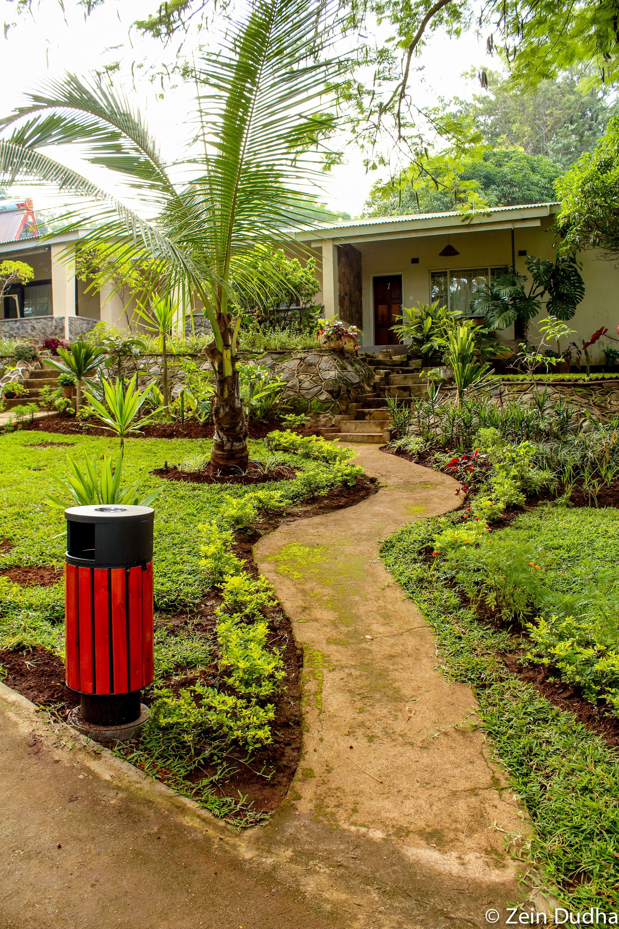 Un sendero en un jardín que conduce a un edificio con una escalera de piedra y abundante vegetación.