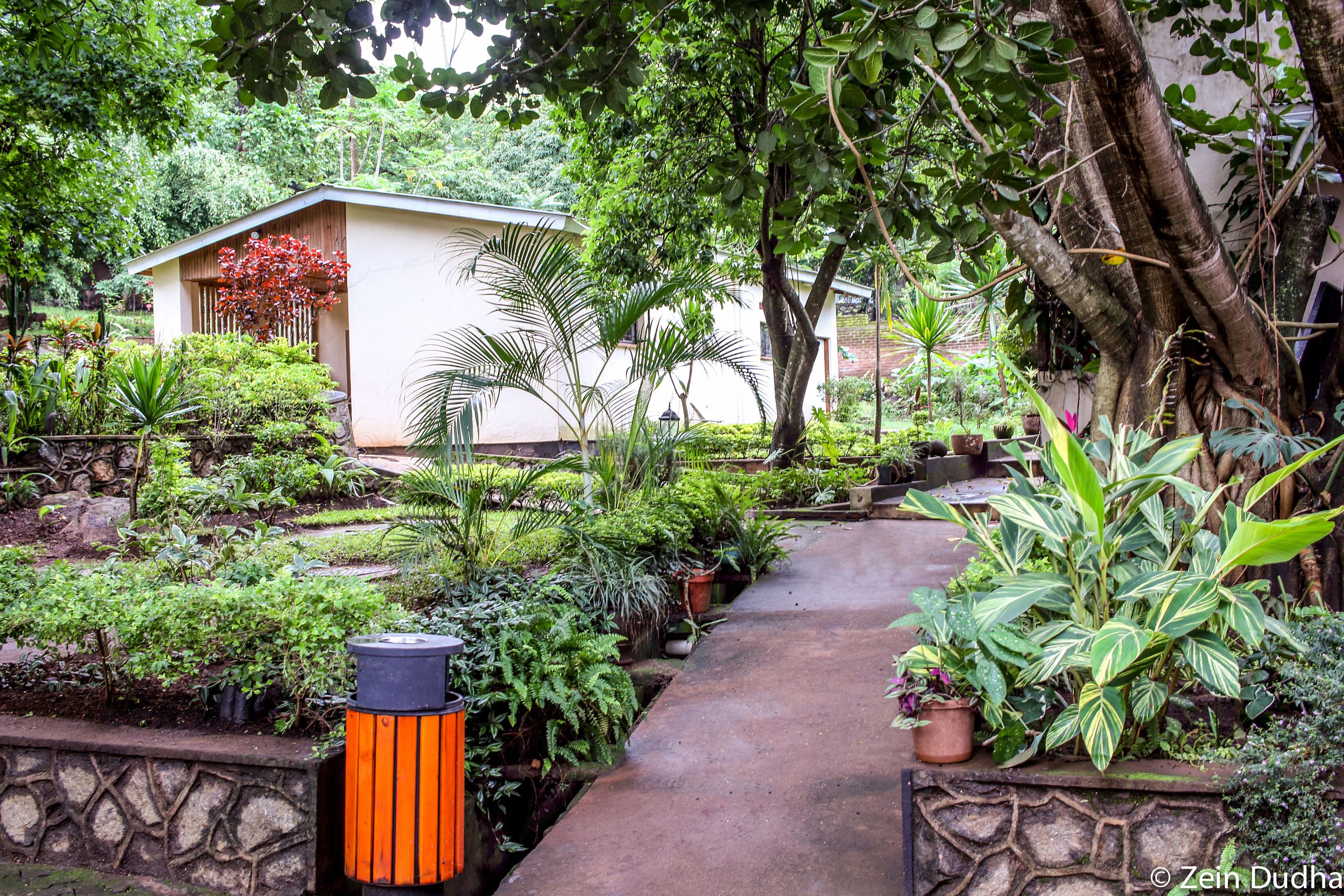 Un sendero en un jardín que conduce a un edificio de fachada blanca y un pequeño porche.