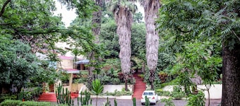 Villa 33