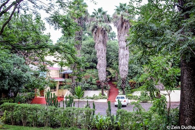 Villa 33