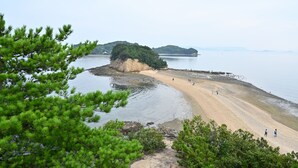 Une plage bordée d’un rivage sablonneux, une petite île verdoyante et une mer calme.