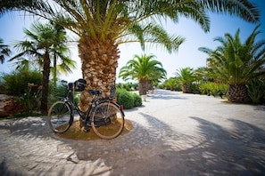 Cykling