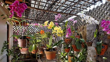 Vista al jardín