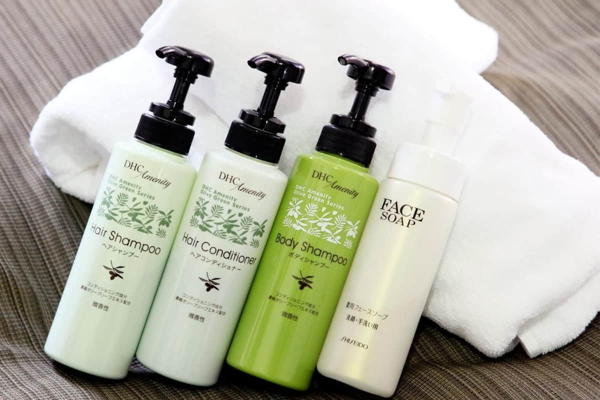 combined shower/bathtub, free toiletries, hair dryer, slippers