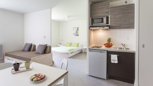 Un apartamento compacto y moderno con kitchenette, comedor y dormitorio.