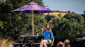 Una mesa de picnic con un paraguas morado, rodeada de follaje y un perro.