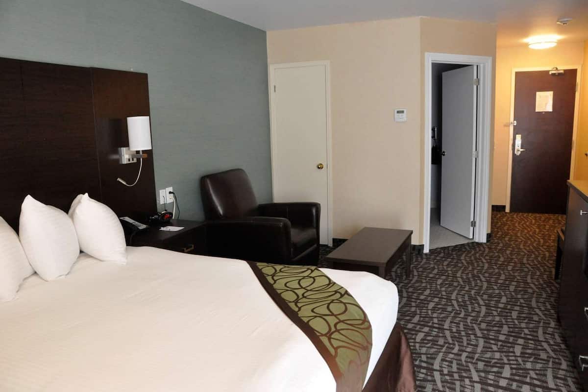 Hypo-allergenic bedding, laptop workspace, blackout curtains