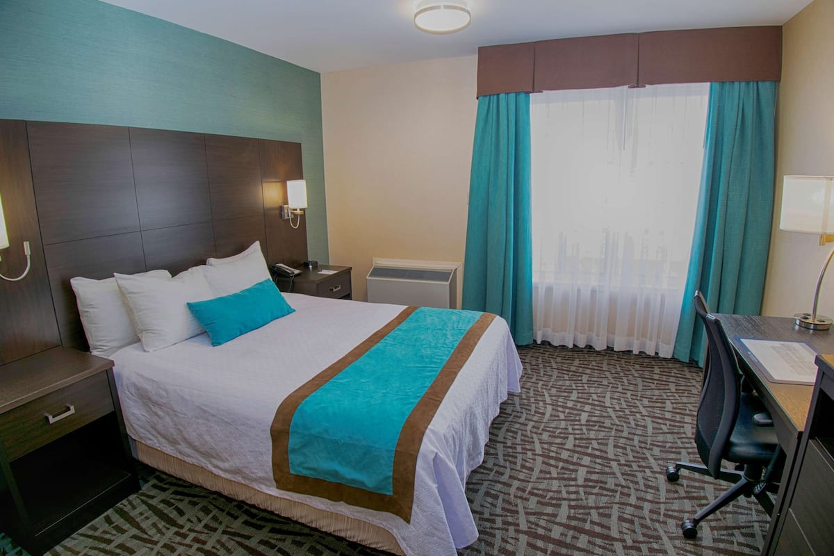 A hotel room with a bed, a desk, a chair, a nightstand, a lamp, and a window with curtains.