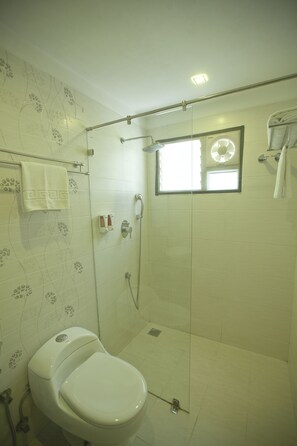 Rainfall showerhead, free toiletries, hair dryer, towels - The Iris Hotel (Chennai)
