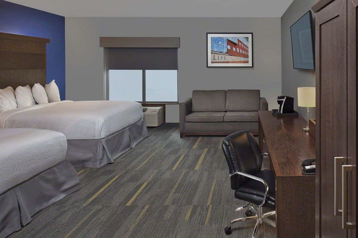 A hotel room with a large bed, a sofa, a desk with a lamp, and a chair.