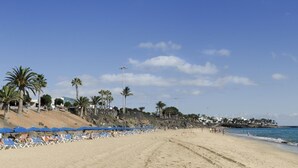 Een strand met rijen blauwe parasols en ligbedden, palmbomen en een heldere lucht.