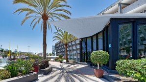 A modern building with large windows, a palm tree, and a shaded walkway.