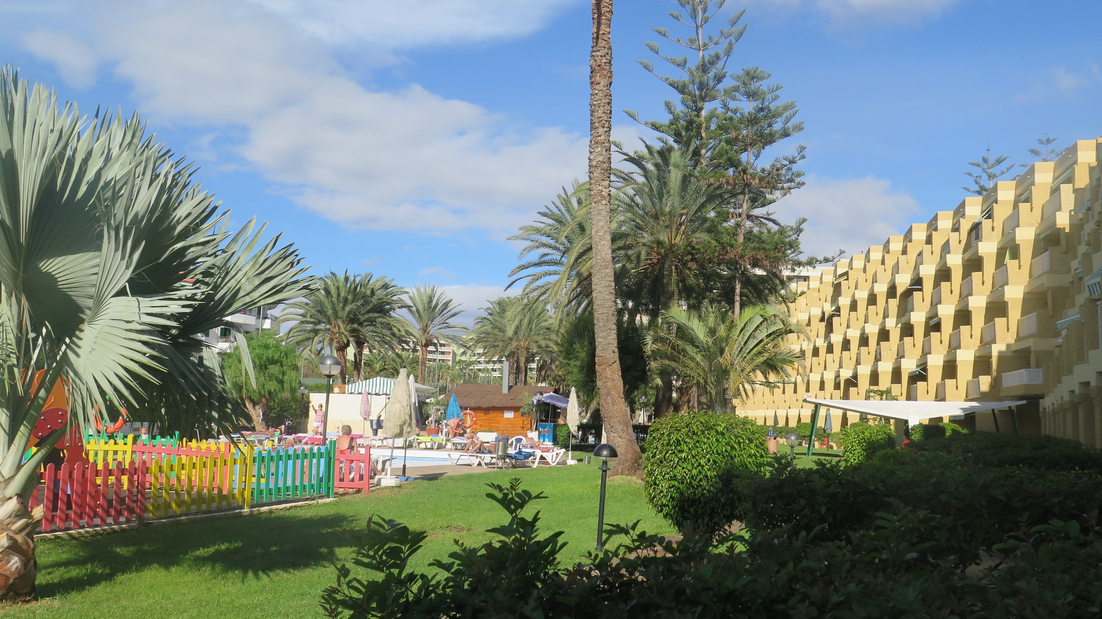 Un patio de hotel con palmeras, una piscina y una valla colorida.