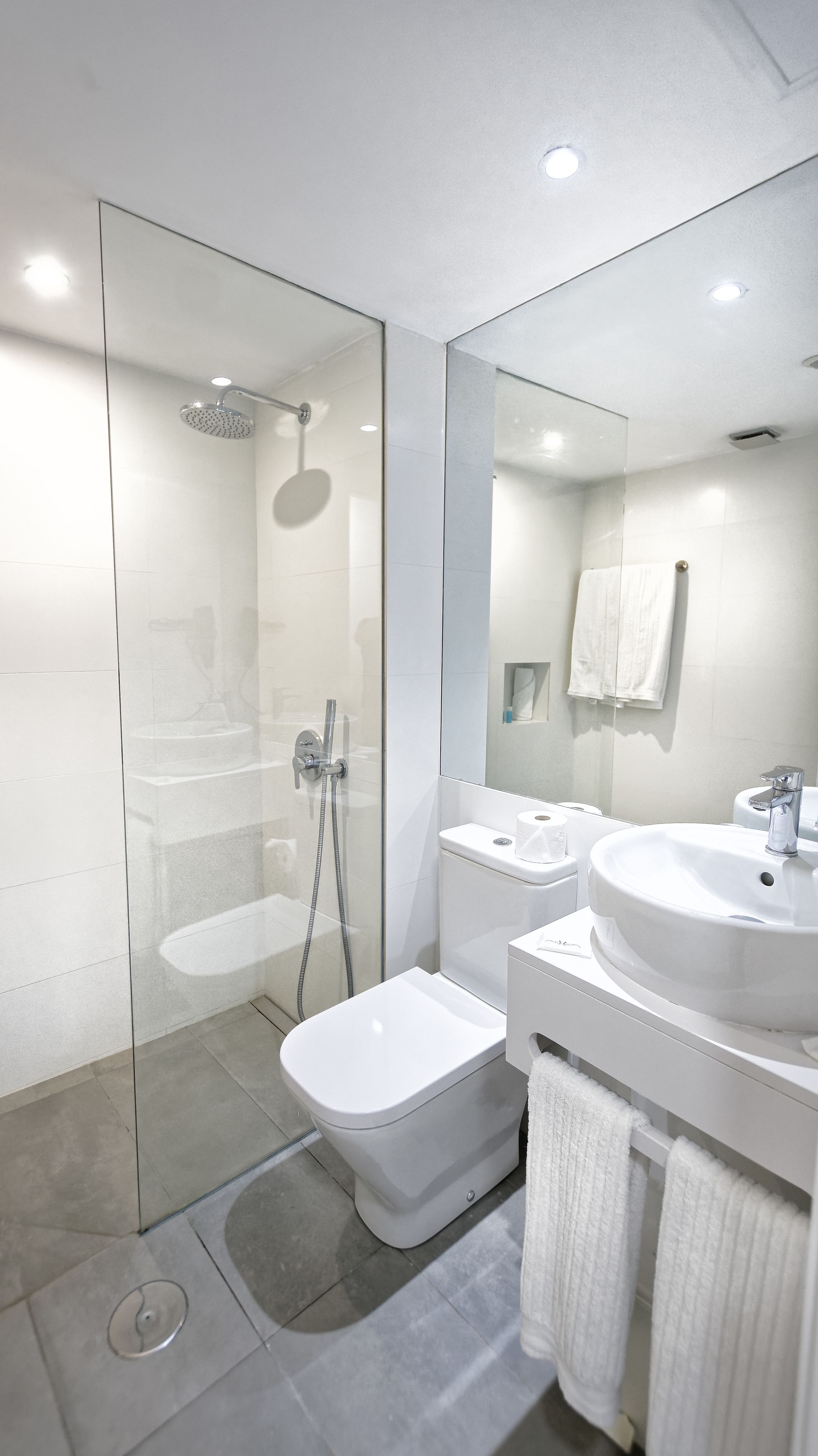 A modern bathroom with a glass-enclosed shower, a white toilet, a sink, and a mirror.