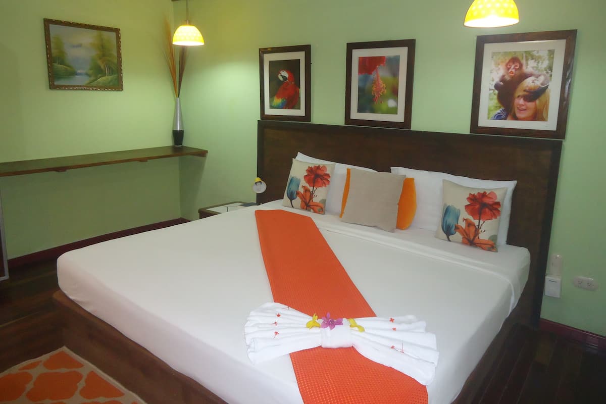 Basic Studio, 1 King Bed, Garden View