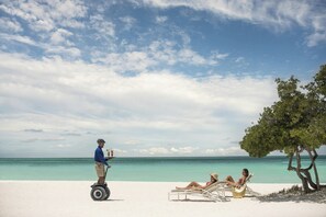 A beach scene with a man on a Segway, two people relaxing on sun loungers, and a tree.