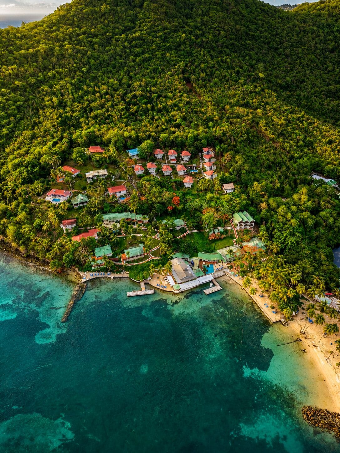 Foto - Oasis Marigot