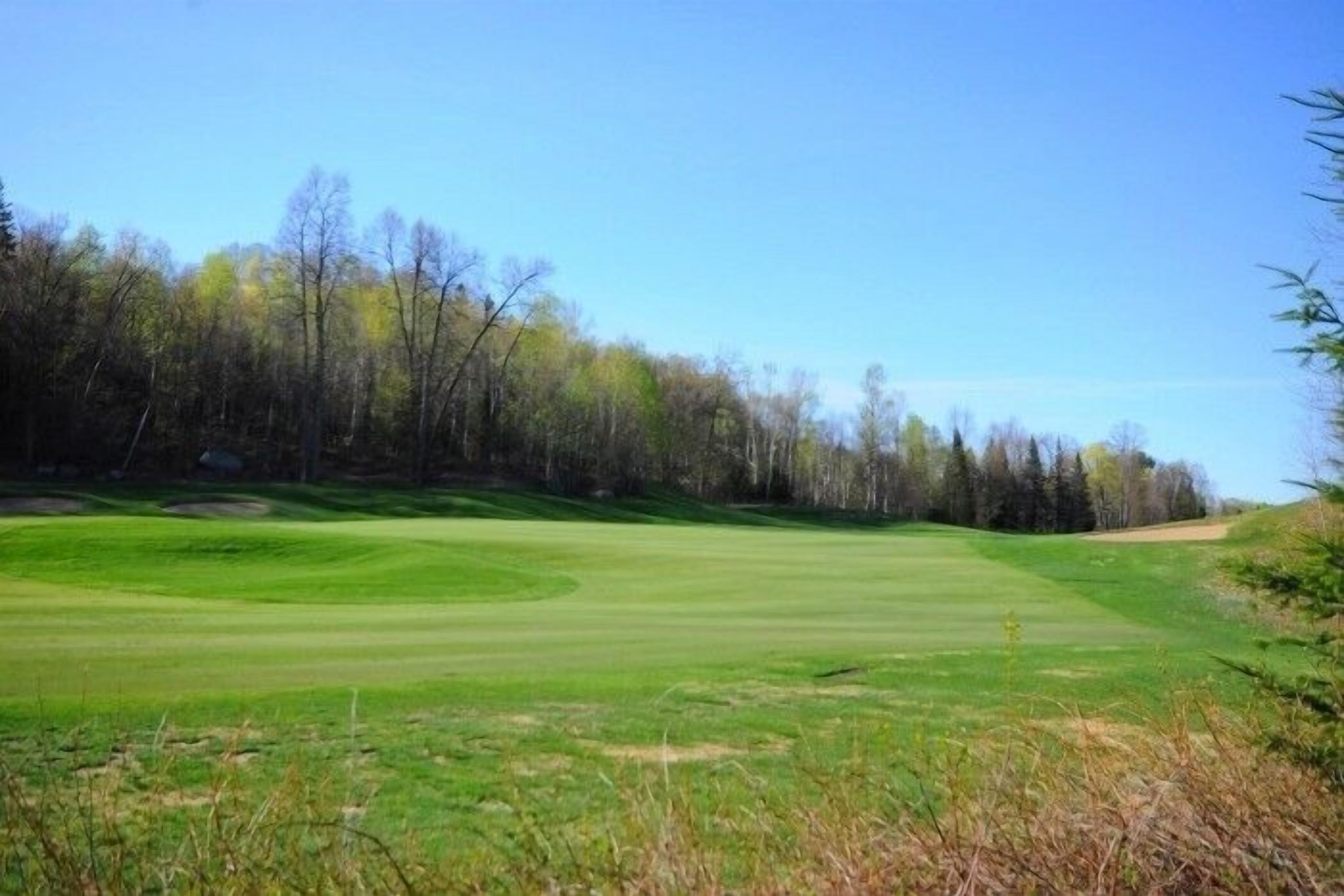 A golf course with a well-maintained green, surrounded by trees and a clear sky.
