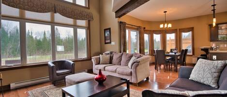 Flat-screen TV, fireplace, DVD player