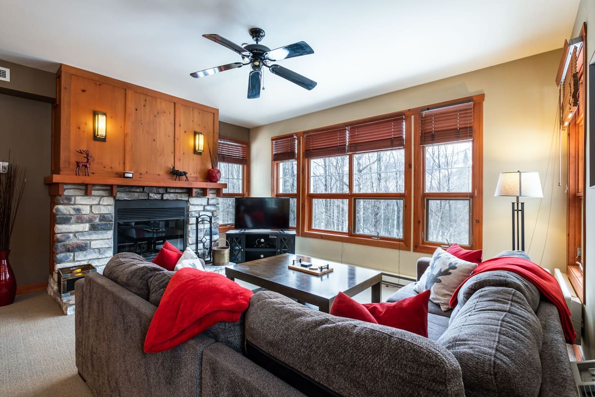 Les Eaux 201-02 | Living area | Flat-screen TV, fireplace, DVD player