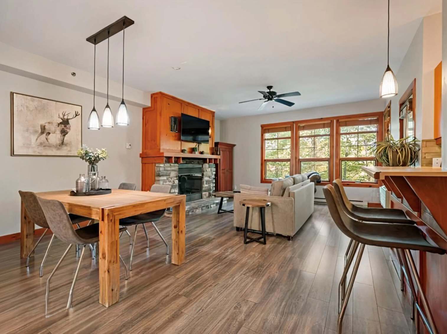 Les Eaux 225-01 | Living area | Flat-screen TV, fireplace, DVD player