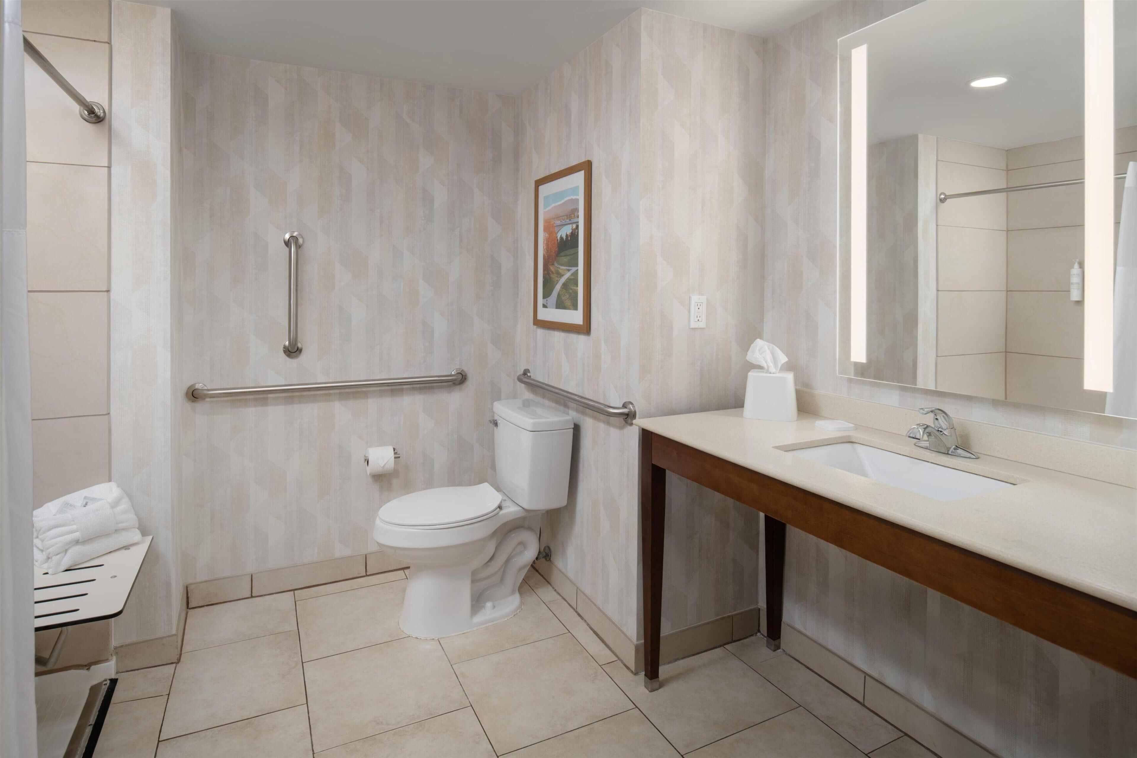 room, 1 king bed, accessible, non smoking | bathroom | combined shower/bathtub, free toiletries, hair dryer, towels