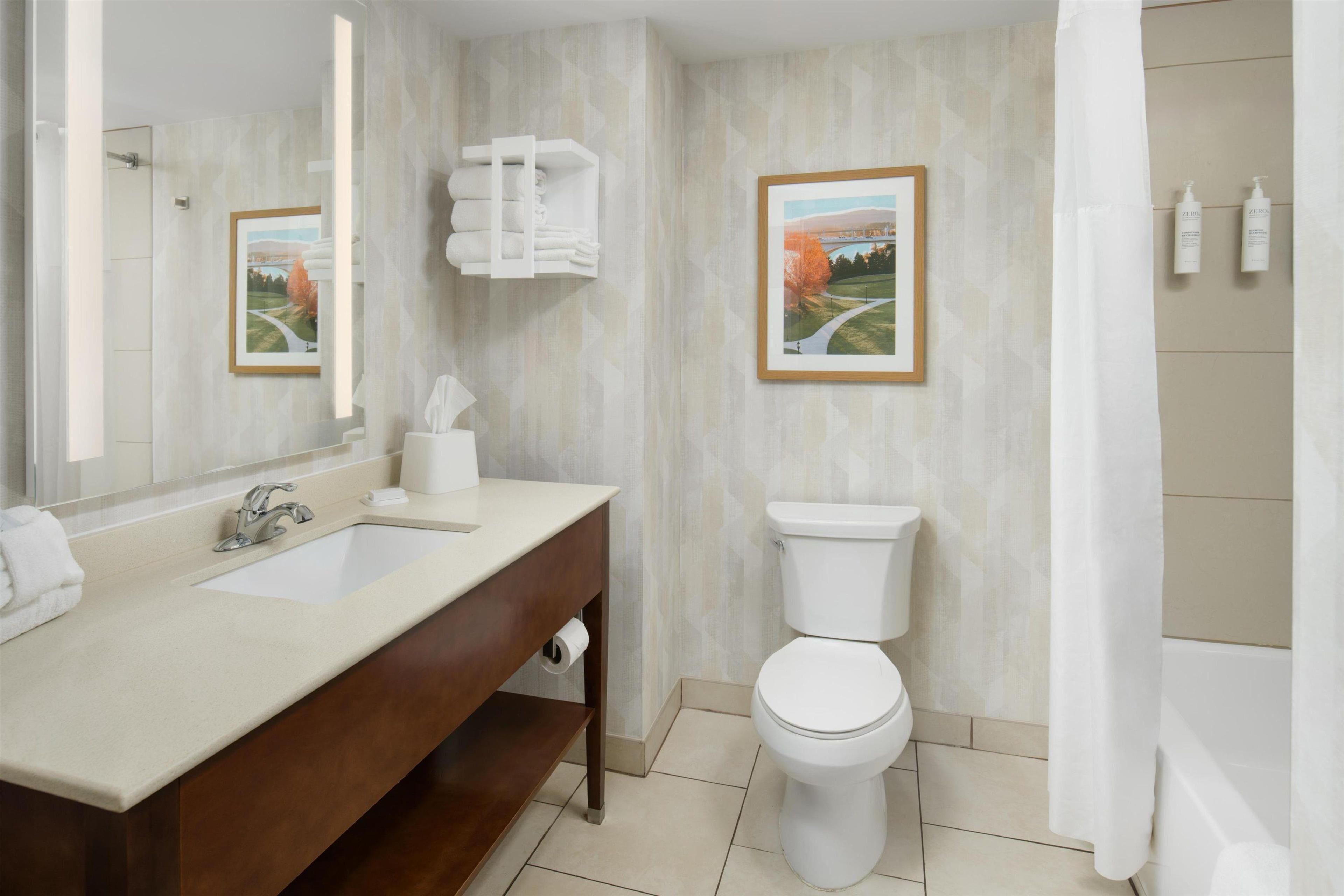 combined shower/bathtub, free toiletries, hair dryer, towels