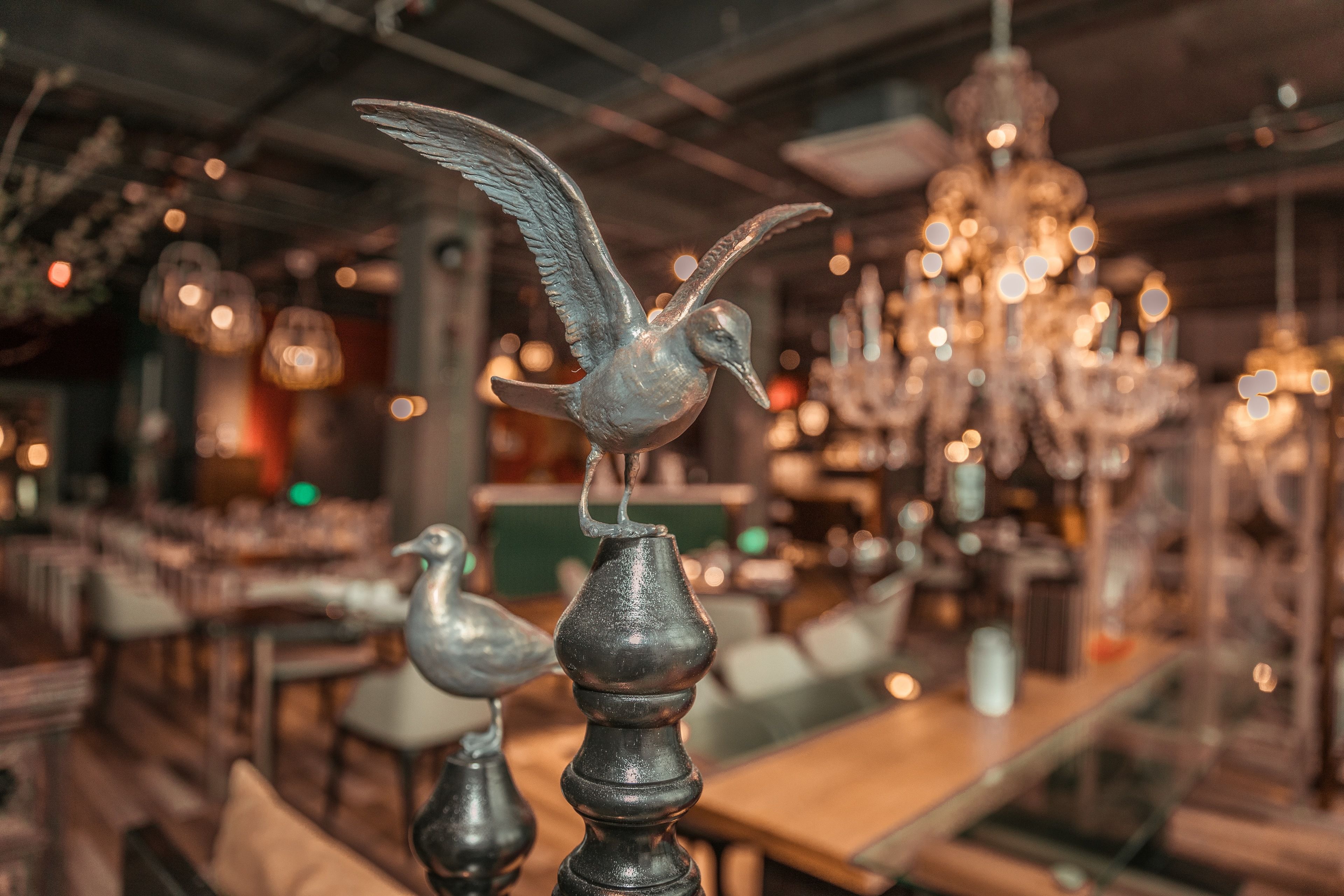 lunch served, al fresco dining