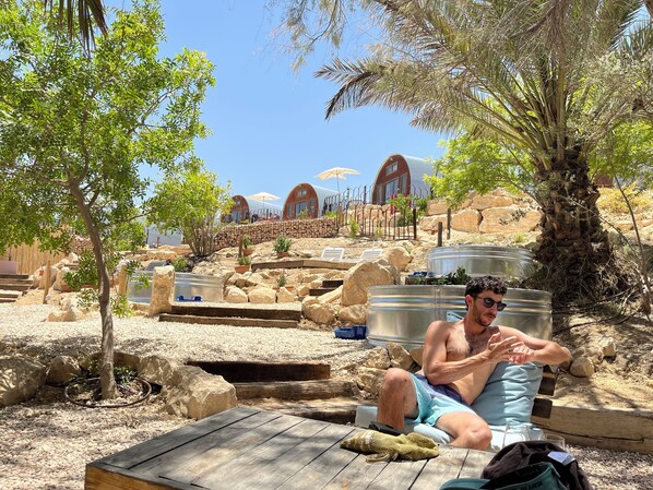 6 outdoor pools - Carmey Avdat Farm (Ramat Negev)