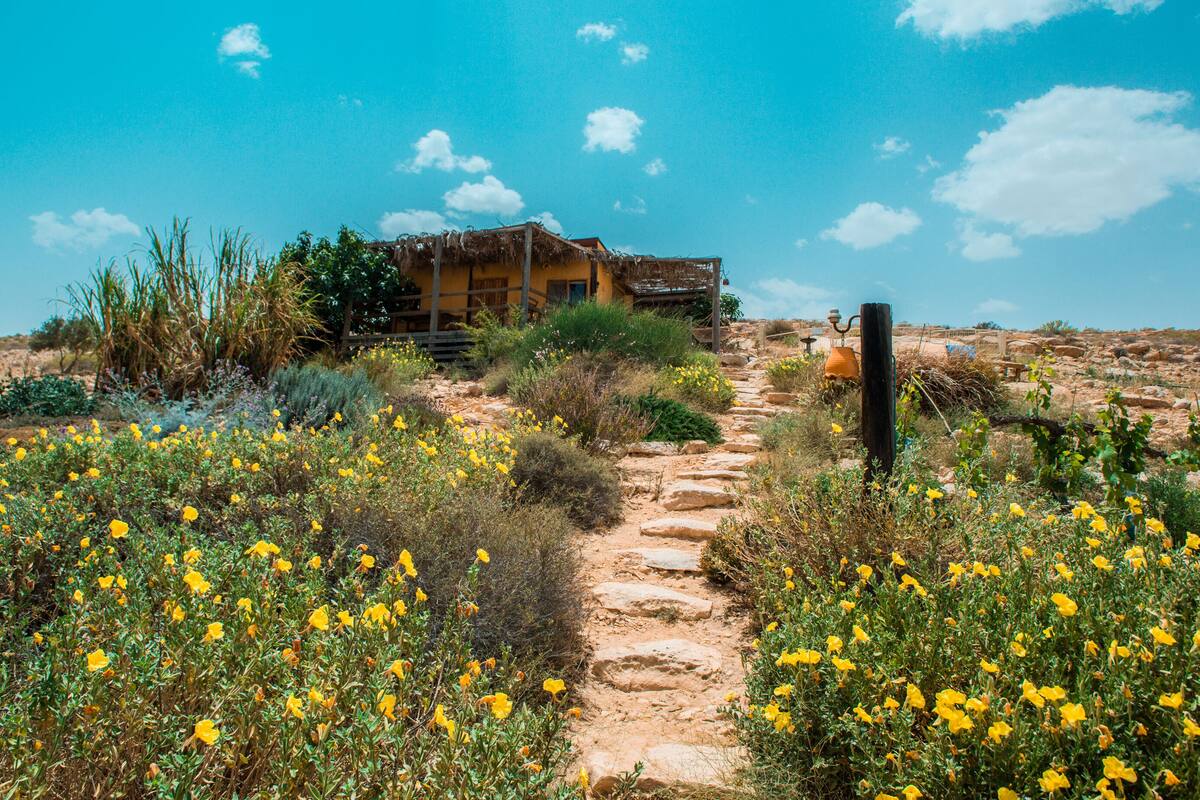 Una casa rústica con un camino de piedra que lleva a ella, rodeada de flores amarillas y vegetación seca.