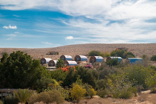 Carmey Avdat Farm