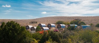 Carmey Avdat Farm