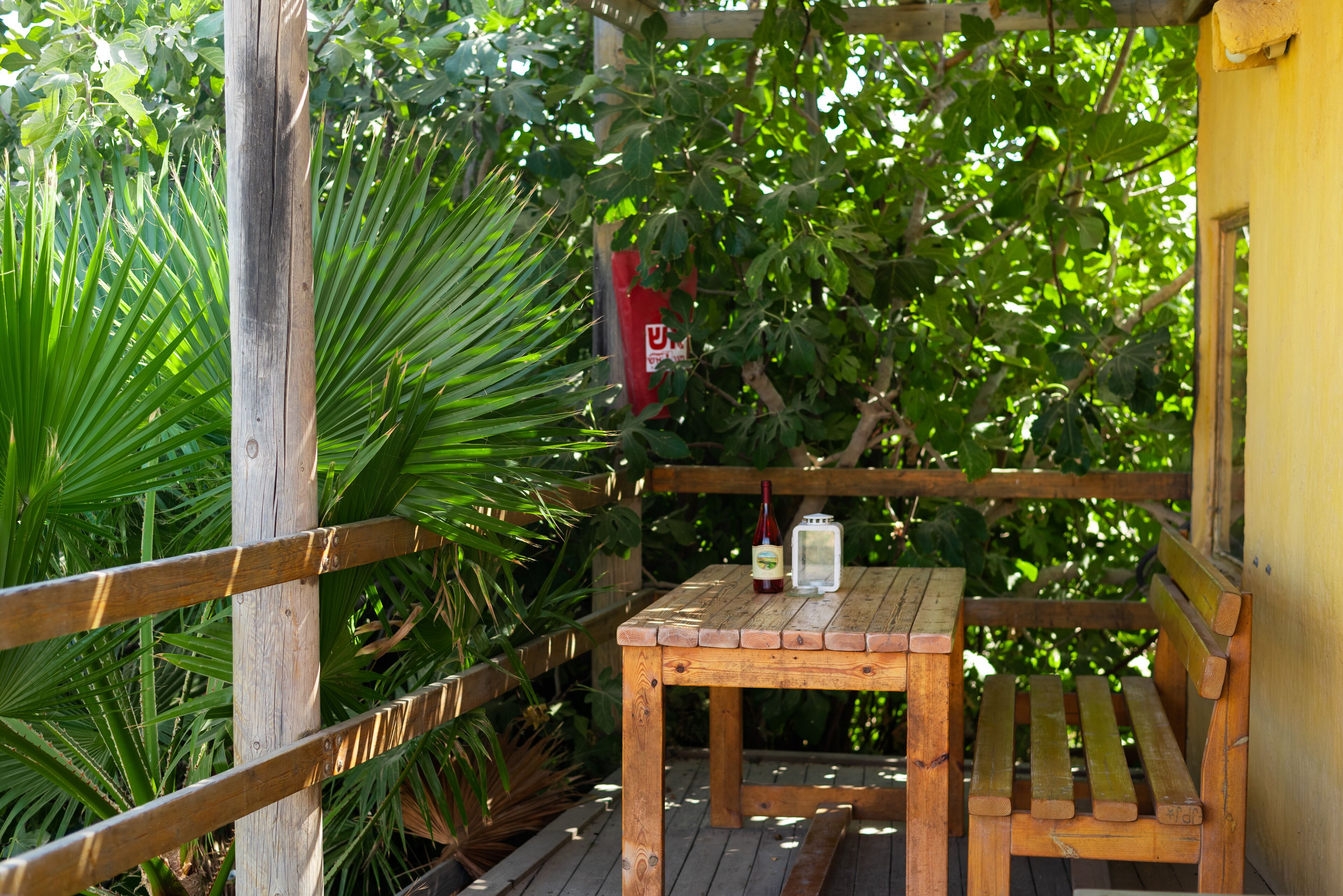 Eine Holzterrasse mit Tisch und Bank, umgeben von üppigem Grün.