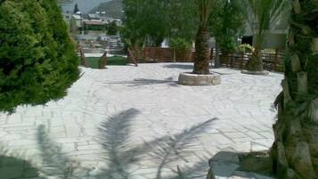 A paved outdoor area with palm trees and a stone wall.