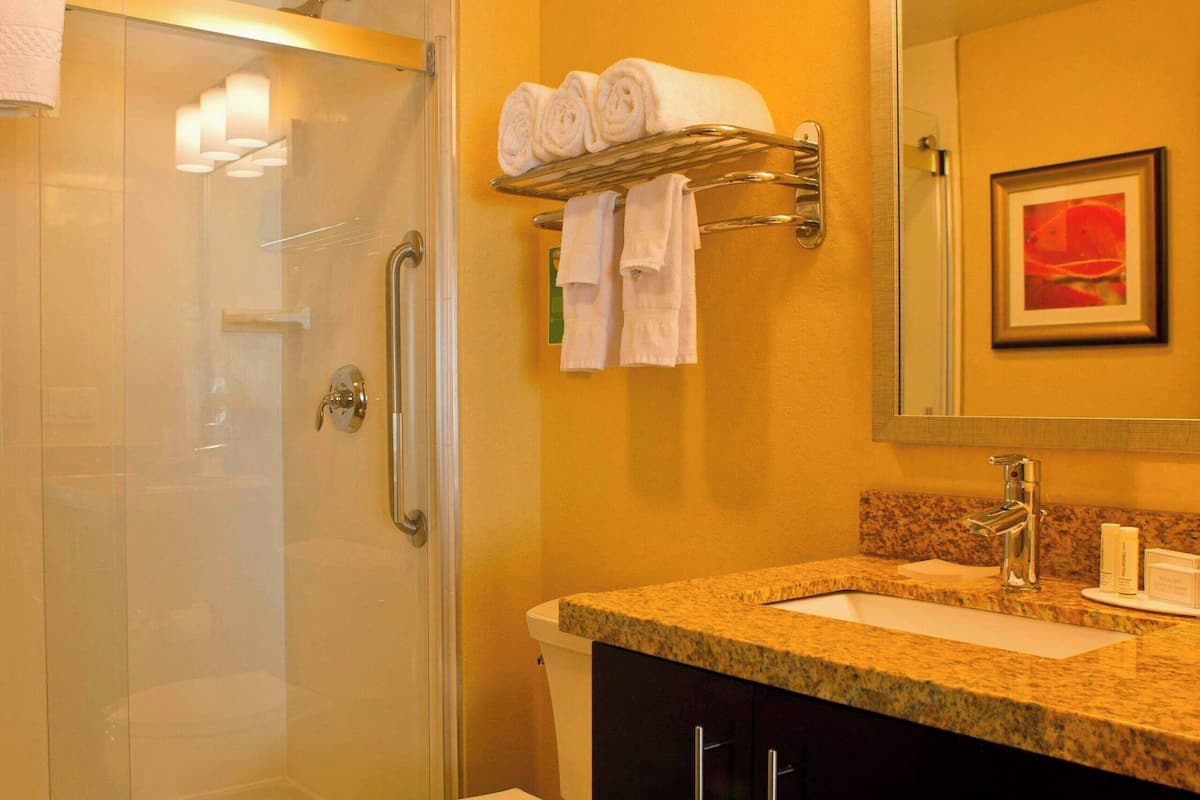 studio, 1 king bed with sofa bed, non smoking | bathroom | free toiletries, hair dryer, towels, soap