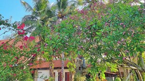 Pemandangan taman