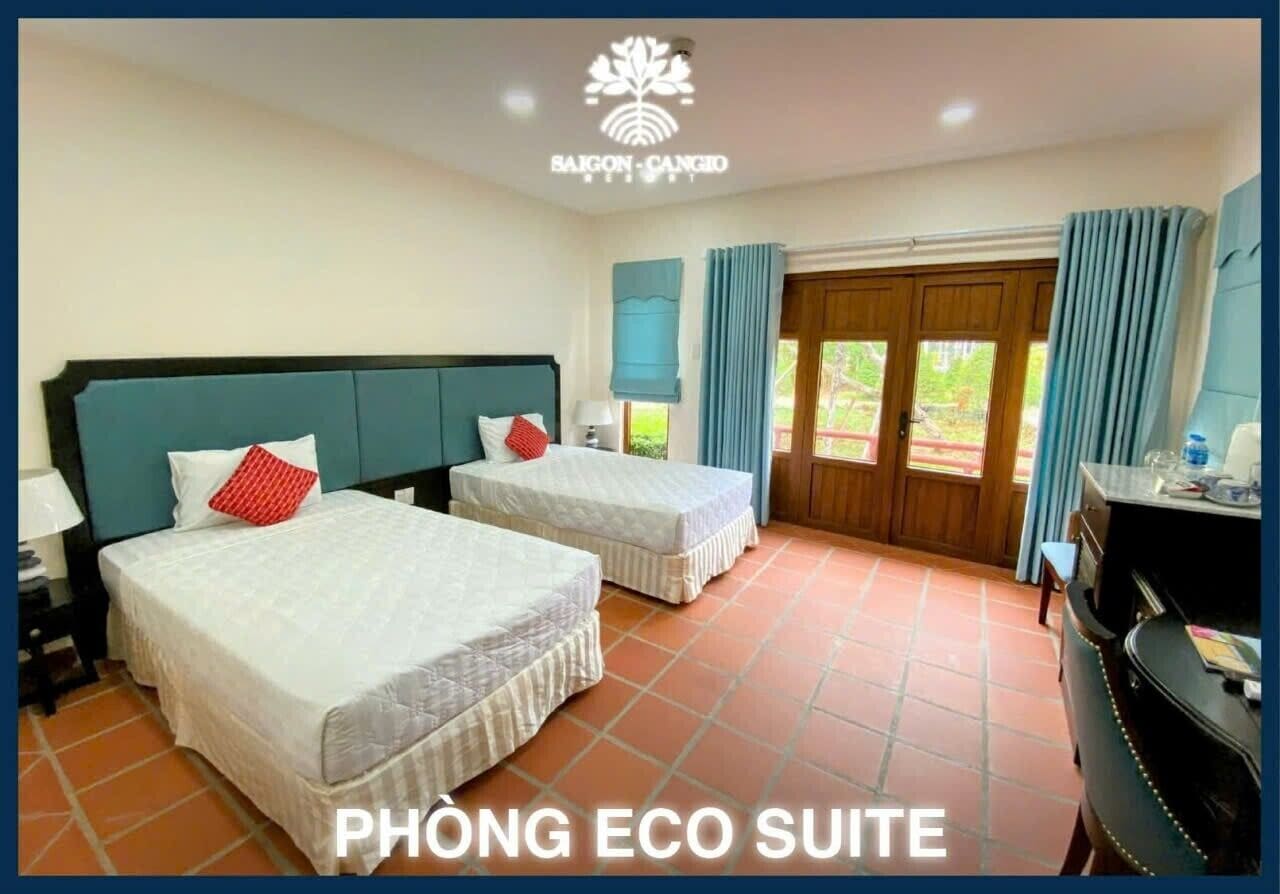 Basic Room (Eco) | Down comforters, minibar, desk, blackout drapes