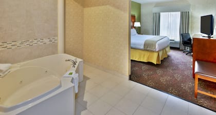 Holiday Inn Express Hotel & Suites Frankenmuth by IHG