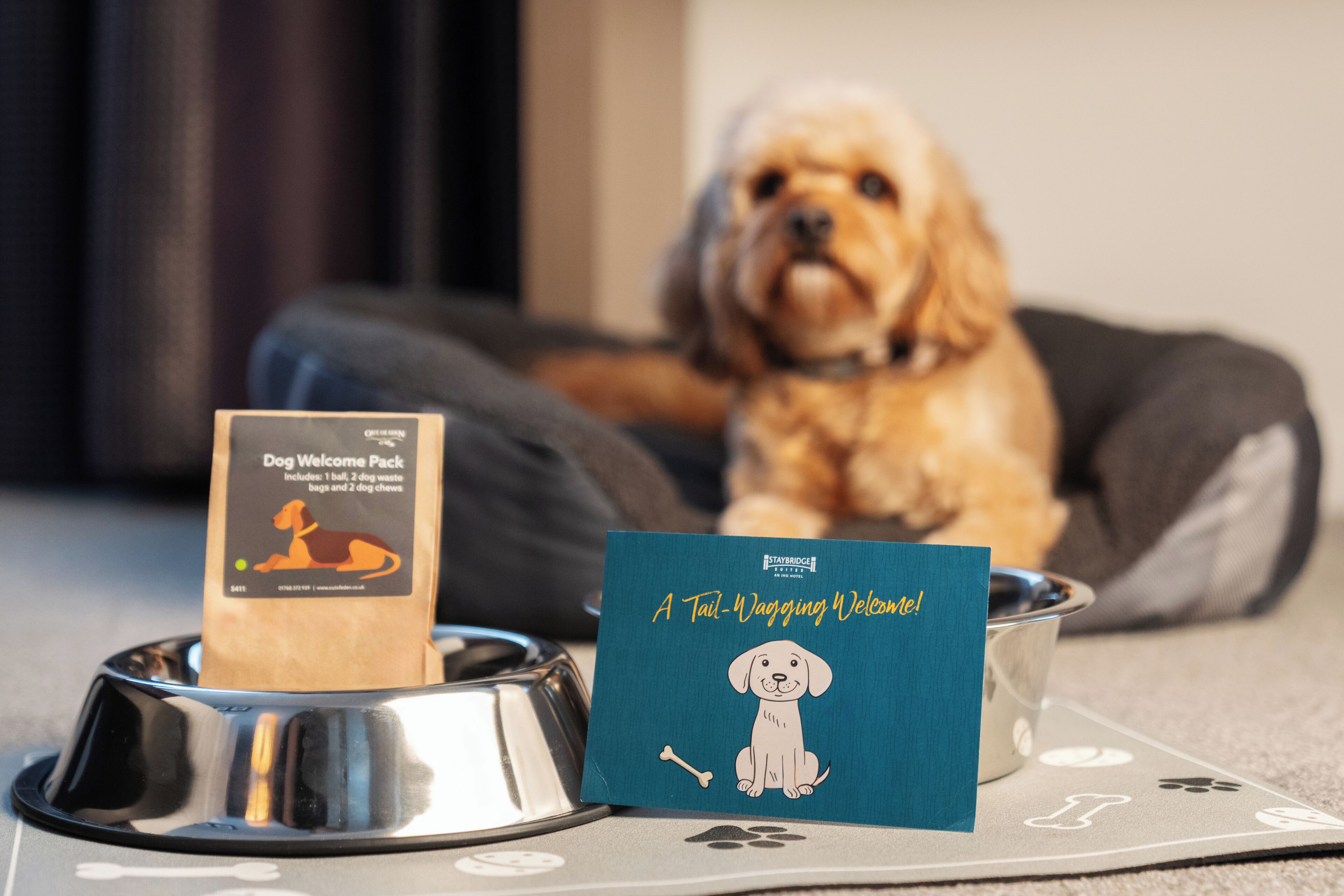 Foto - Staybridge Suites Birmingham by IHG