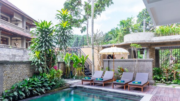 Ảnh chưa phân loại, 1 trong số 24 ảnh, nút