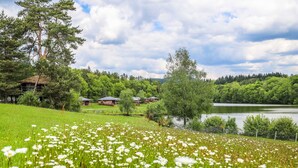 A field of white flowers, a lake, and houses in the background.