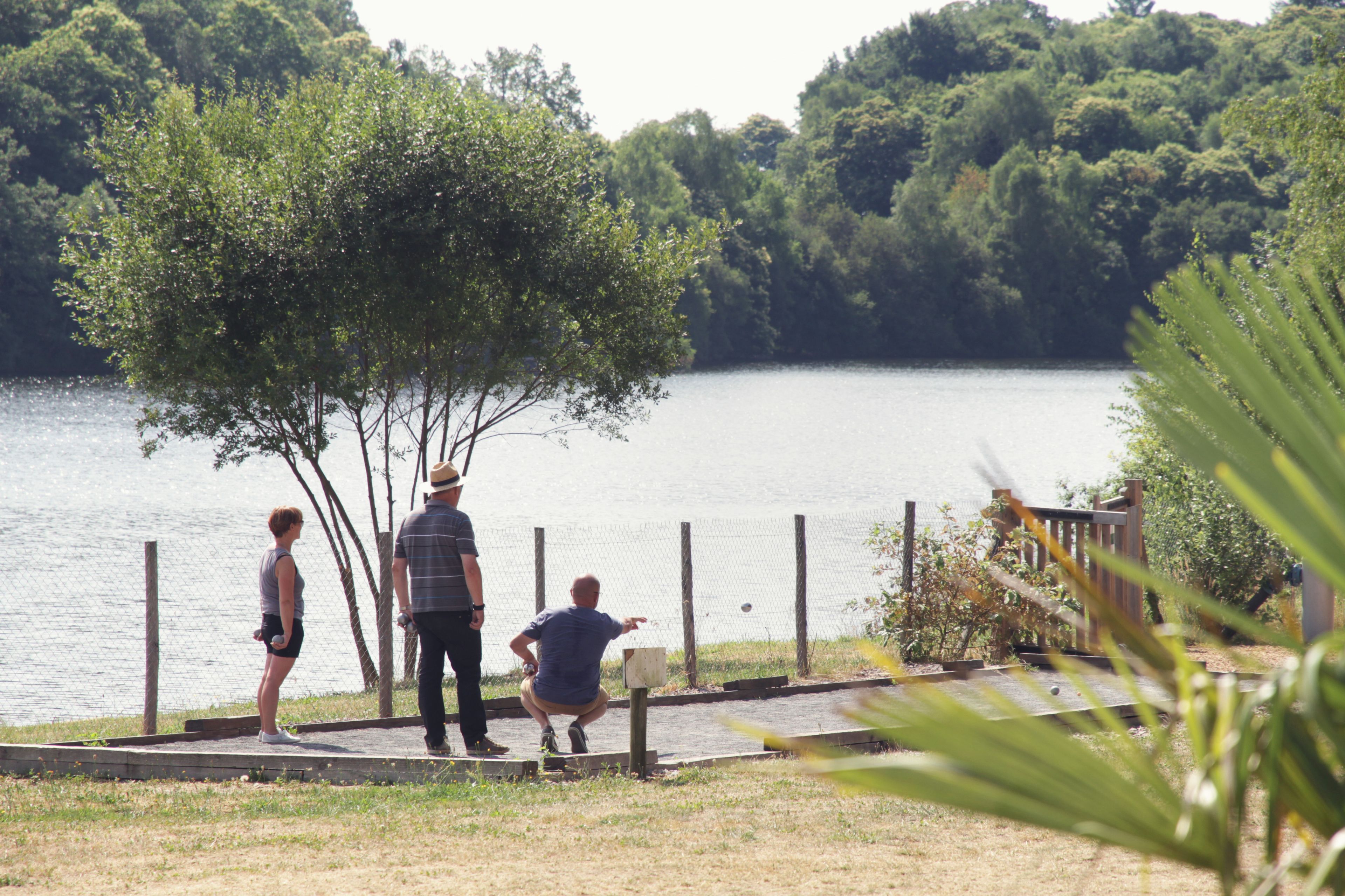 A lakeside park with a fenced area, trees, and a bench.