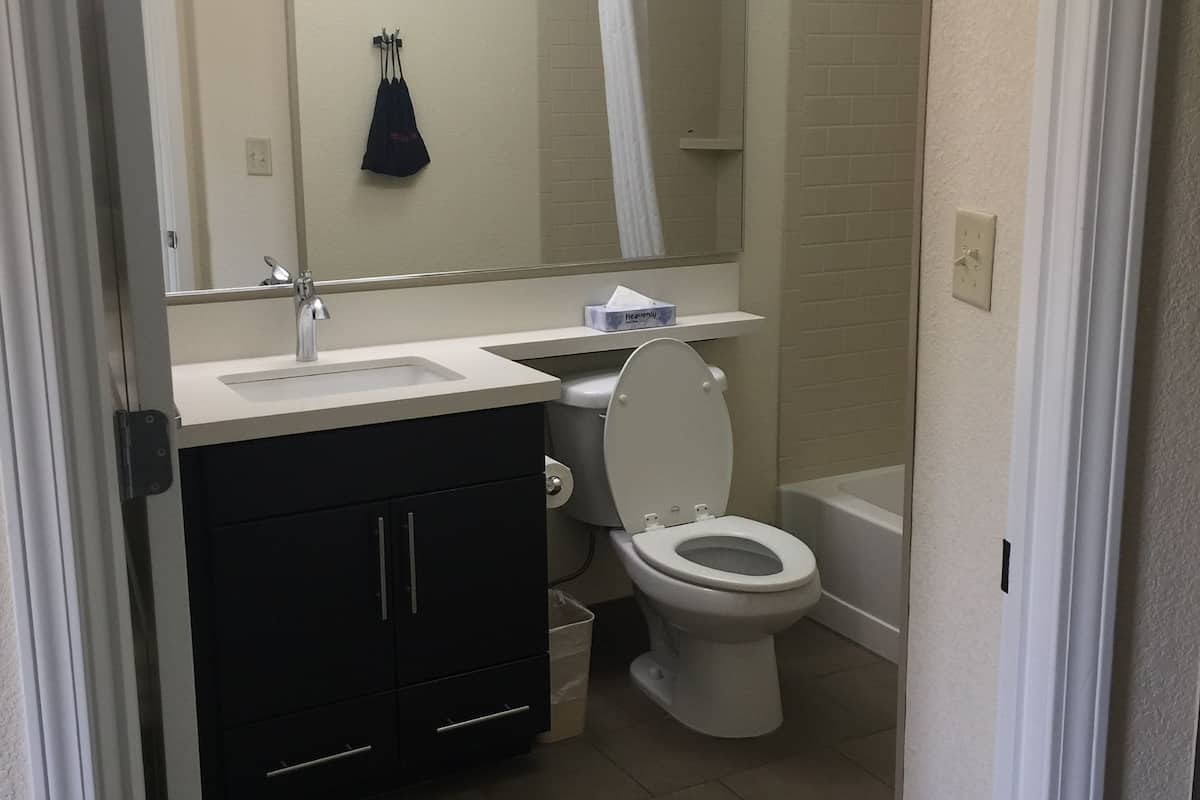 combined shower/bathtub, hair dryer, towels