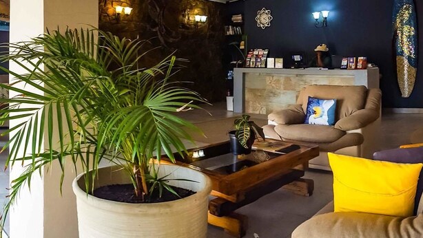 A modern living room with a large potted plant, a sofa with yellow cushions, a wooden coffee table, and a reception desk with a receptionist. - The Russel Guesthouse (Gqeberha (Port Elizabeth))