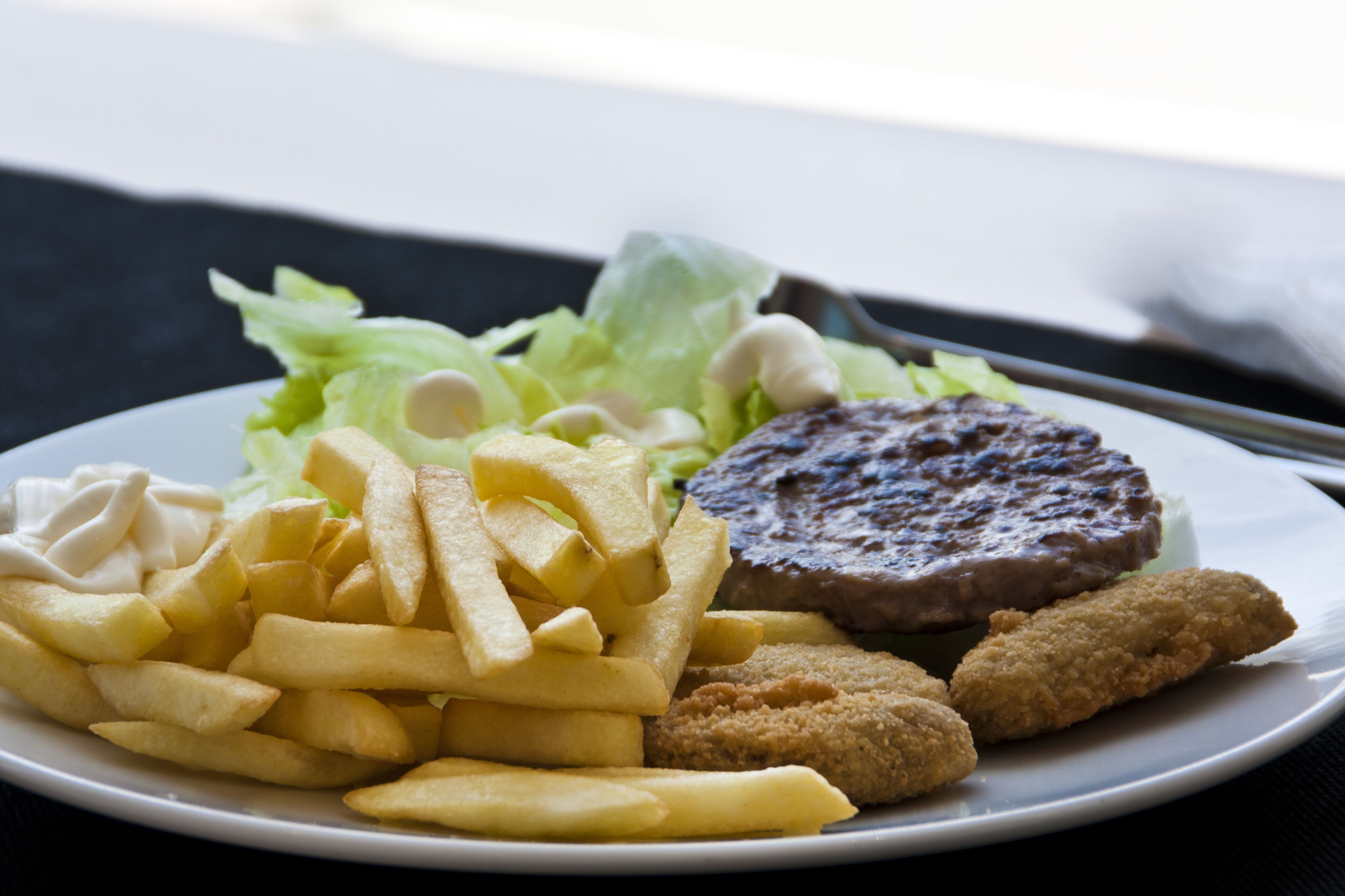 Une assiette avec des frites, un hamburger et une salade d’accompagnement.
